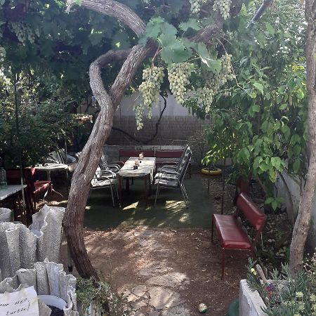 Apartmani Damir Kazija Pakoštane Exterior foto